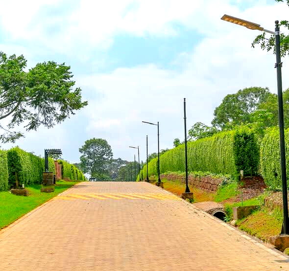Quarter Acre Serviced Plot in Tigoni