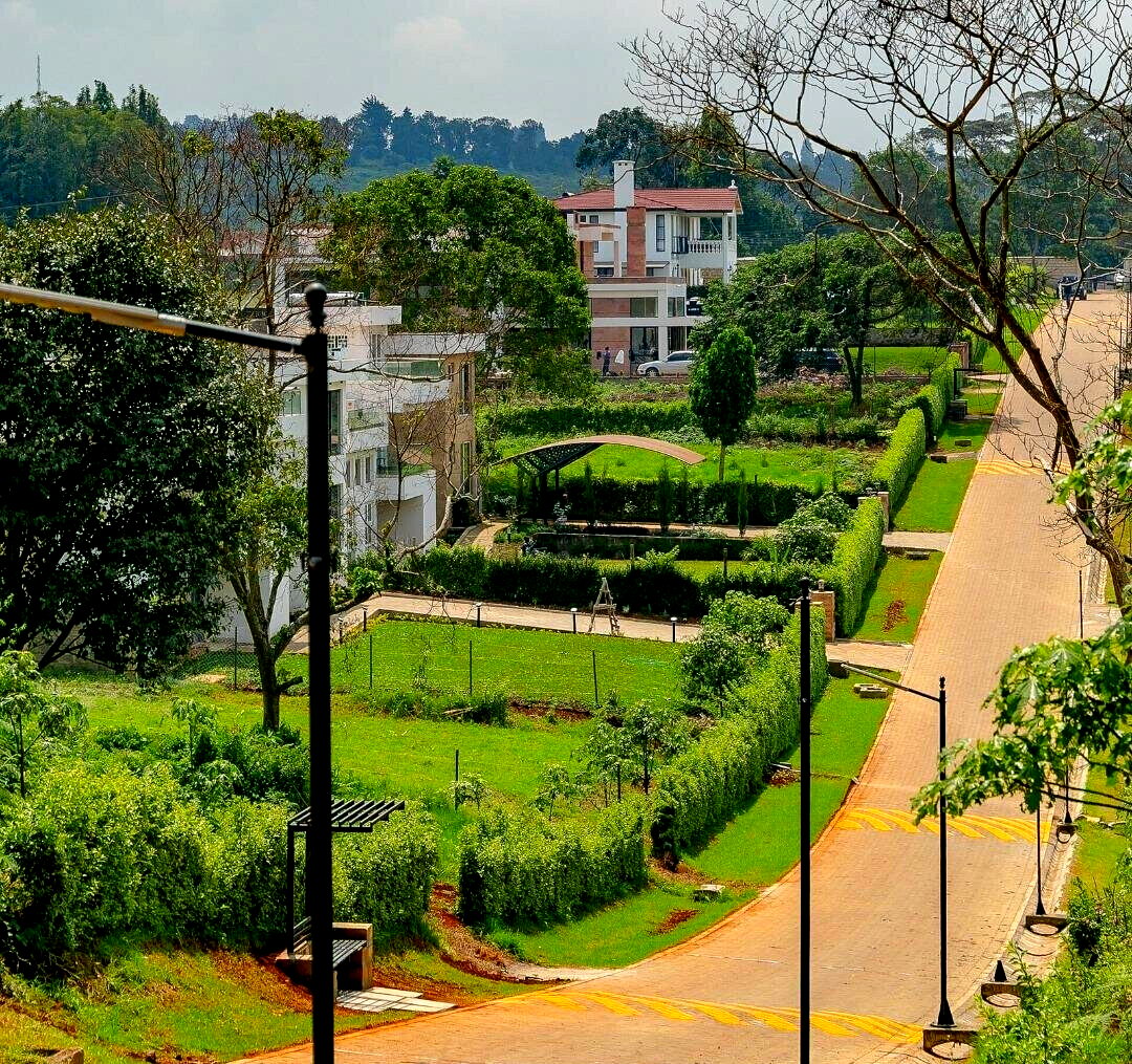 Quarter Acre Serviced Plot in Tigoni