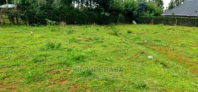 Prime 1/4 Plot for Sale in Kipkenyo ELDORET_RIVERTEX HIGHWAY - Image 2