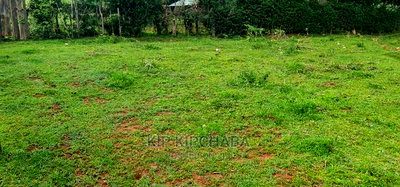 Prime 1/4 Plot for Sale in Kipkenyo ELDORET_RIVERTEX HIGHWAY - Image 3