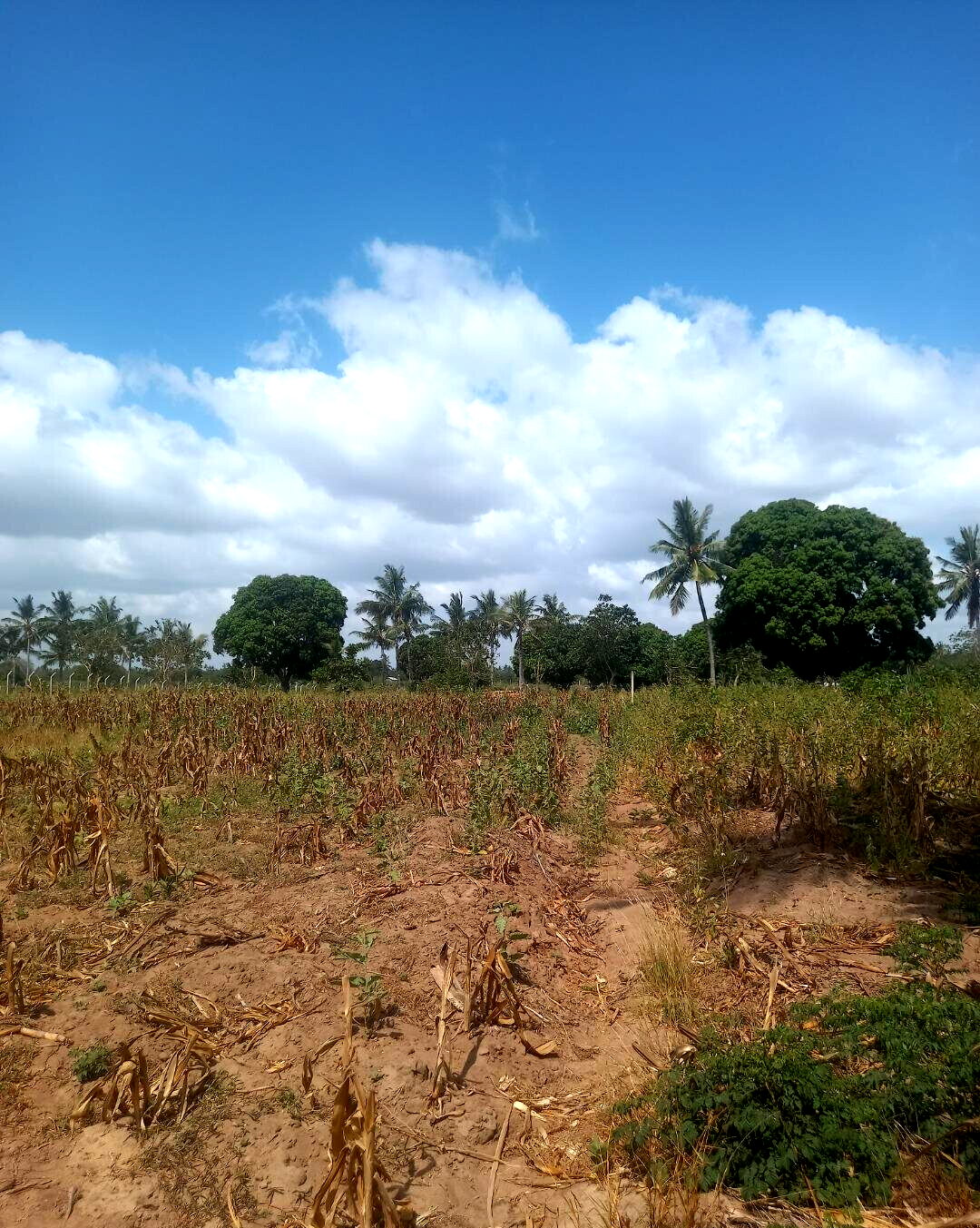 2-Acre Plot at KSh 6M