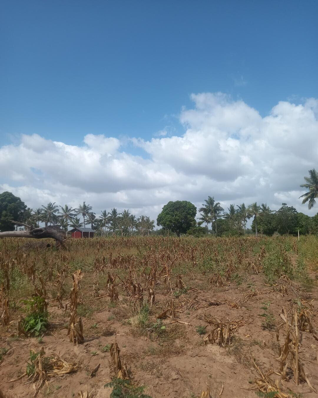2-Acre Plot at KSh 6M