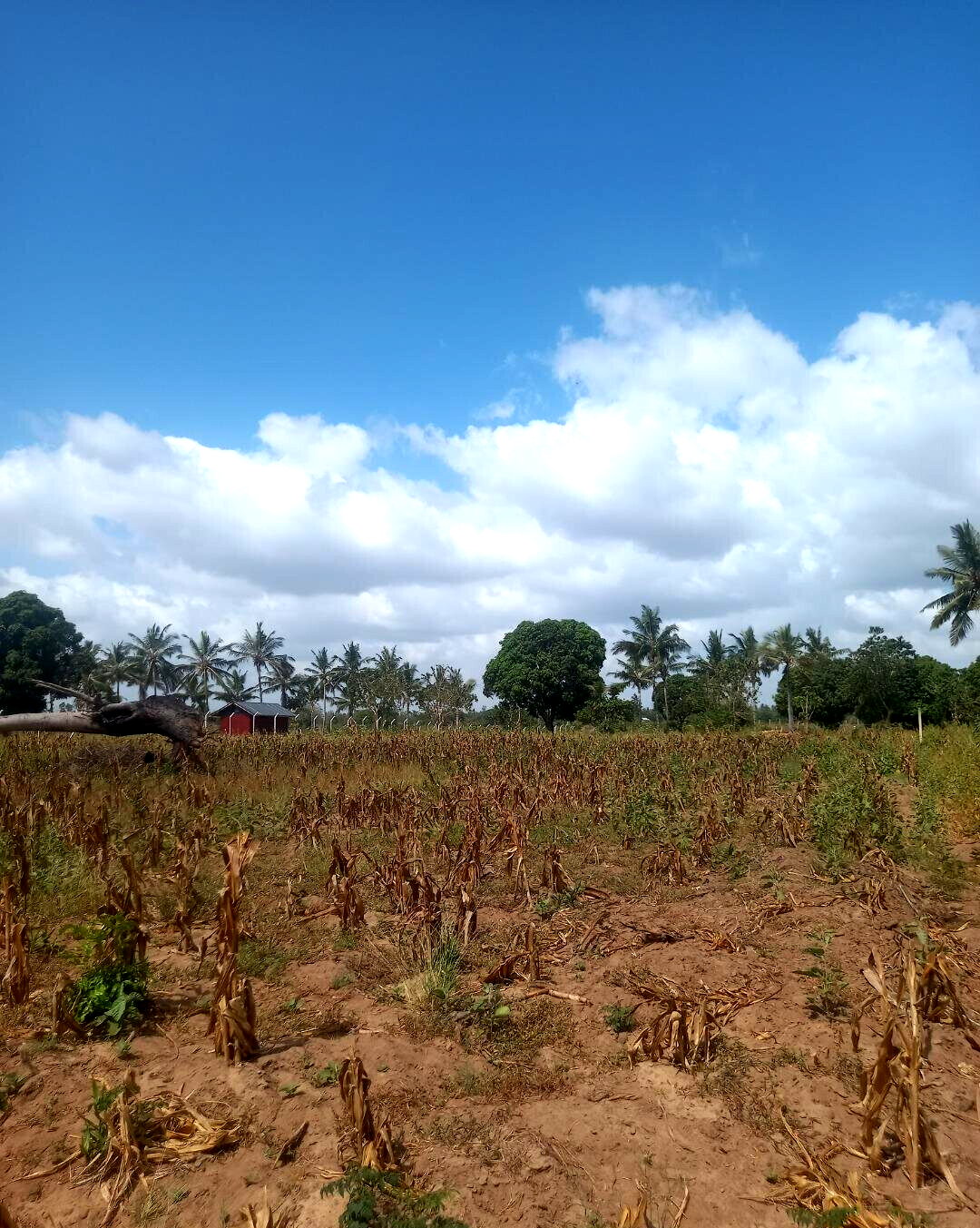 2-Acre Plot at KSh 6M