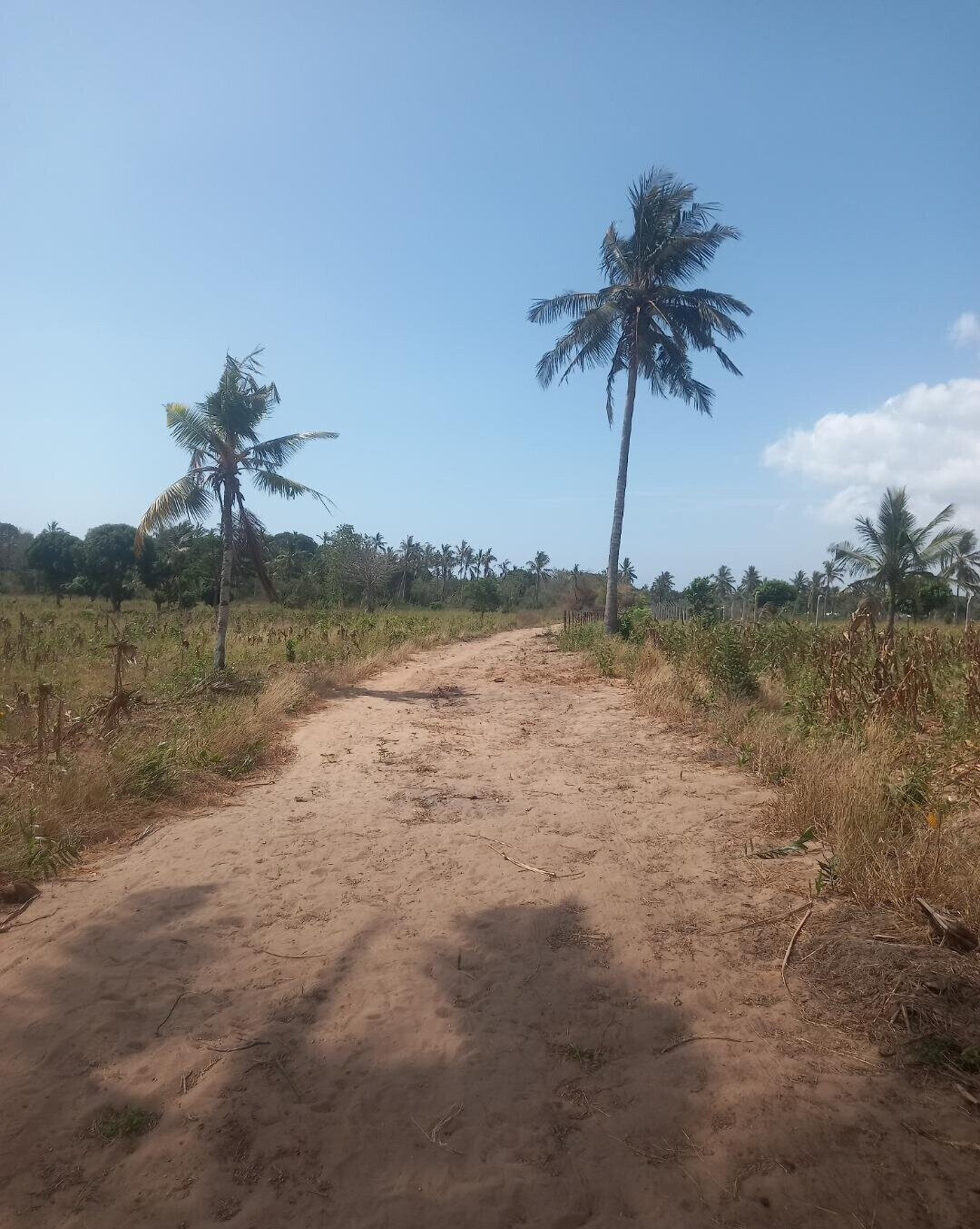 2-Acre Plot at KSh 6M