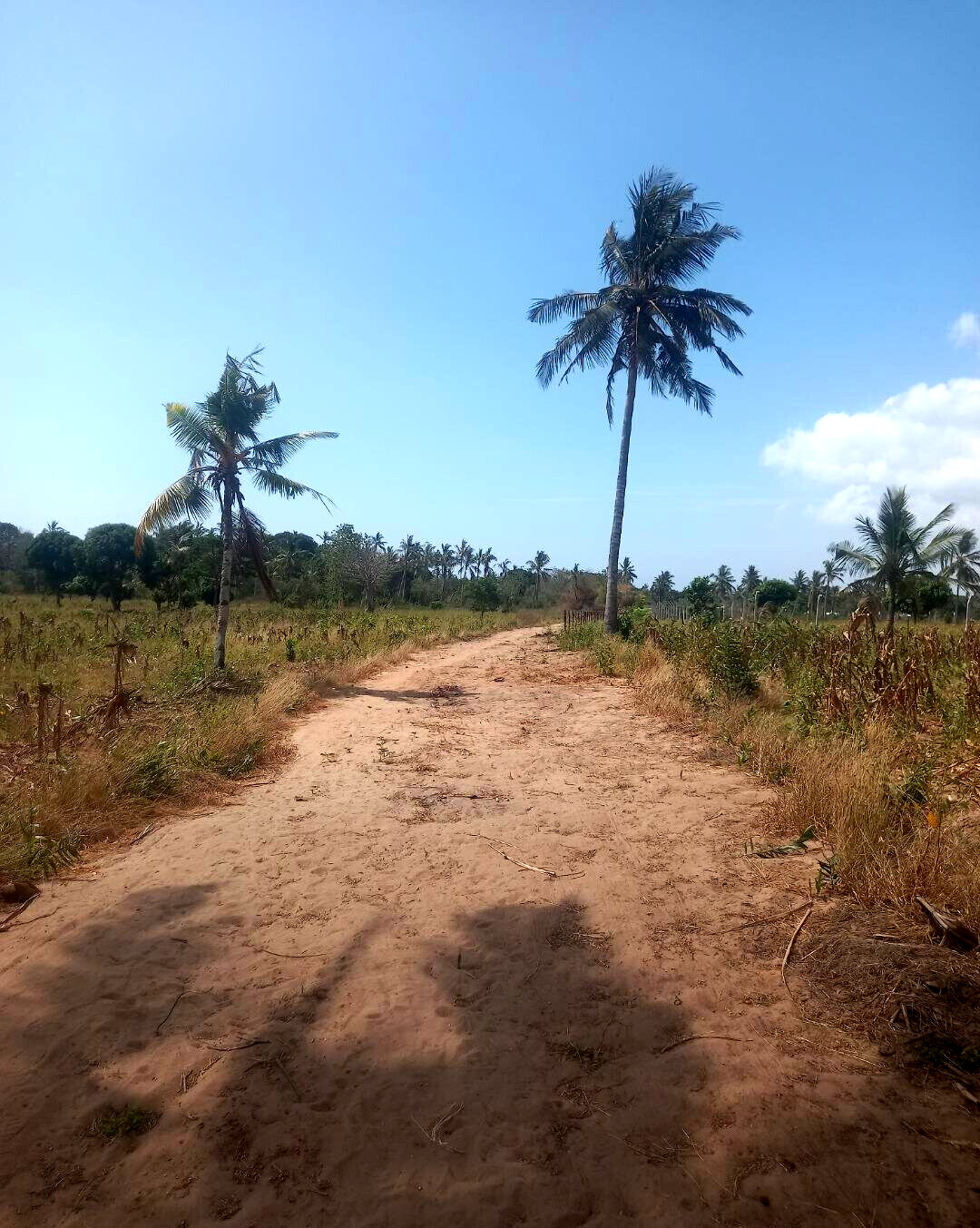 2-Acre Plot at KSh 6M