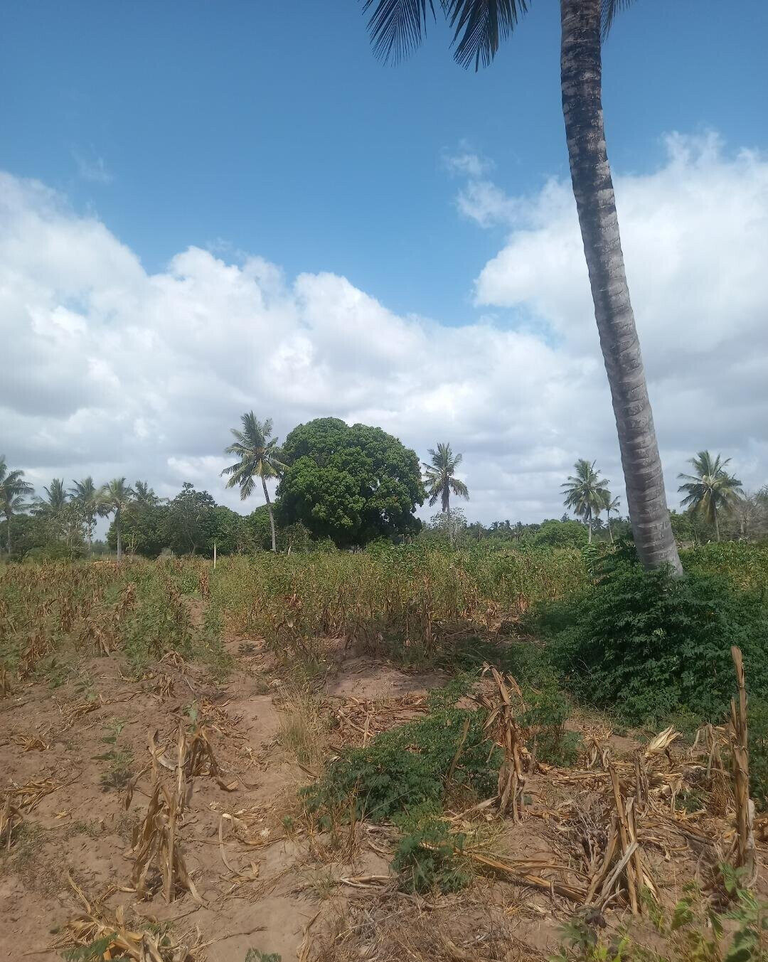 2-Acre Plot at KSh 6M