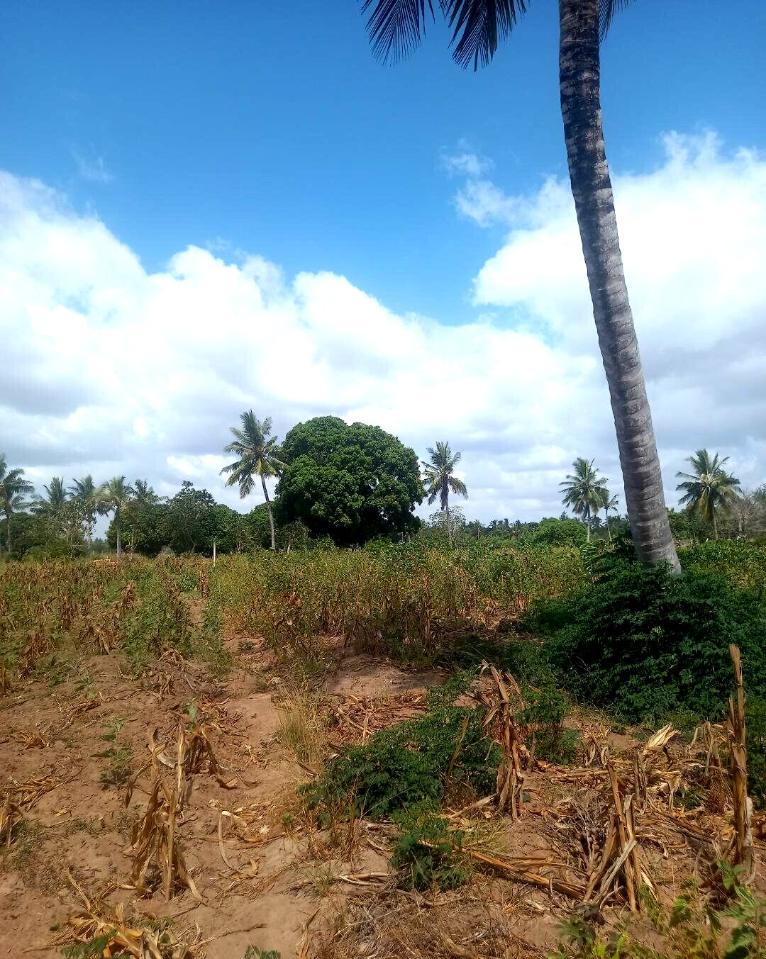 2-Acre Plot at KSh 6M