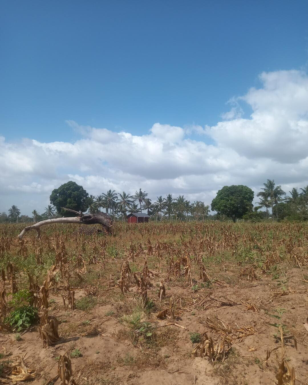 2-Acre Plot at KSh 6M