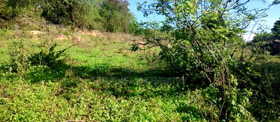 Embu County, Kiambere Agri/Commercial Land Near the Centre. - Image 5