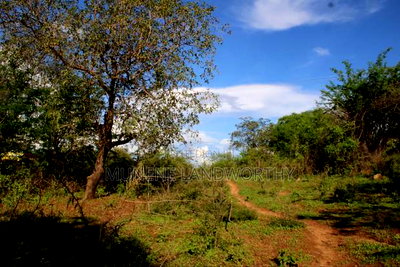 Embu County, Kiambere Agri/Commercial Land Near the Centre. - Image 15