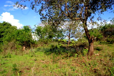 Embu County, Kiambere Agri/Commercial Land Near the Centre. - Image 12
