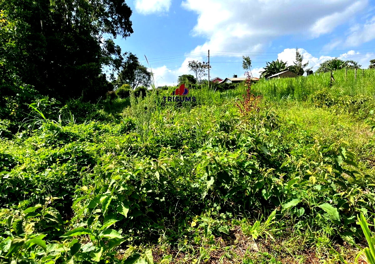 Quarter Acre Garden Plot