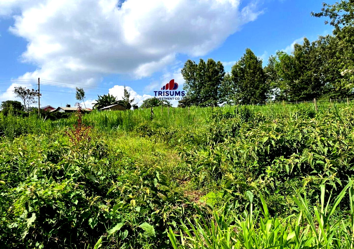 Quarter Acre Garden Plot