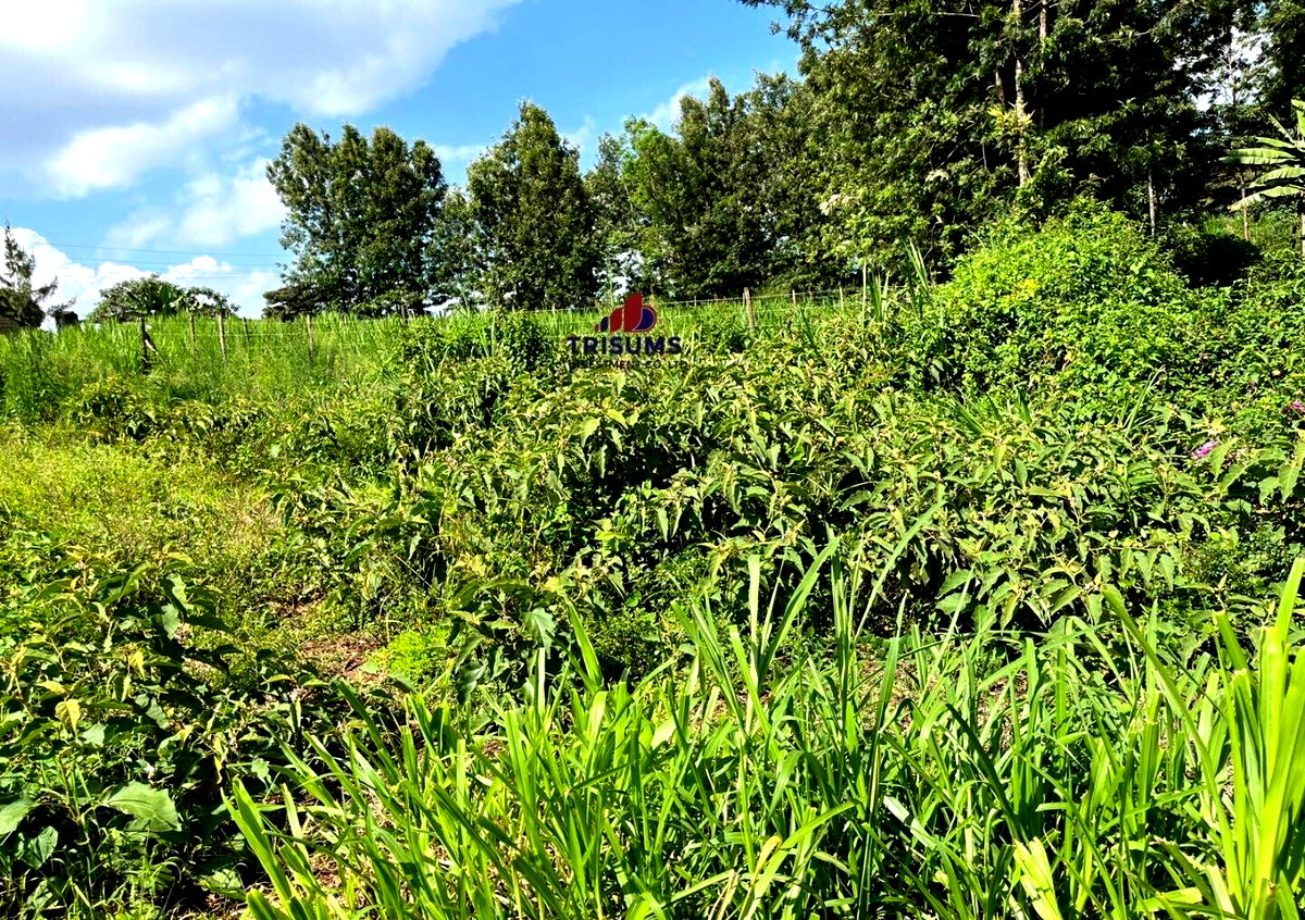 Quarter Acre Garden Plot