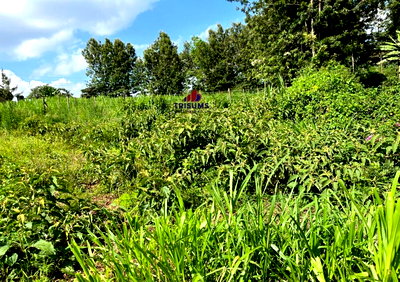 Quarter Acre Garden Plot