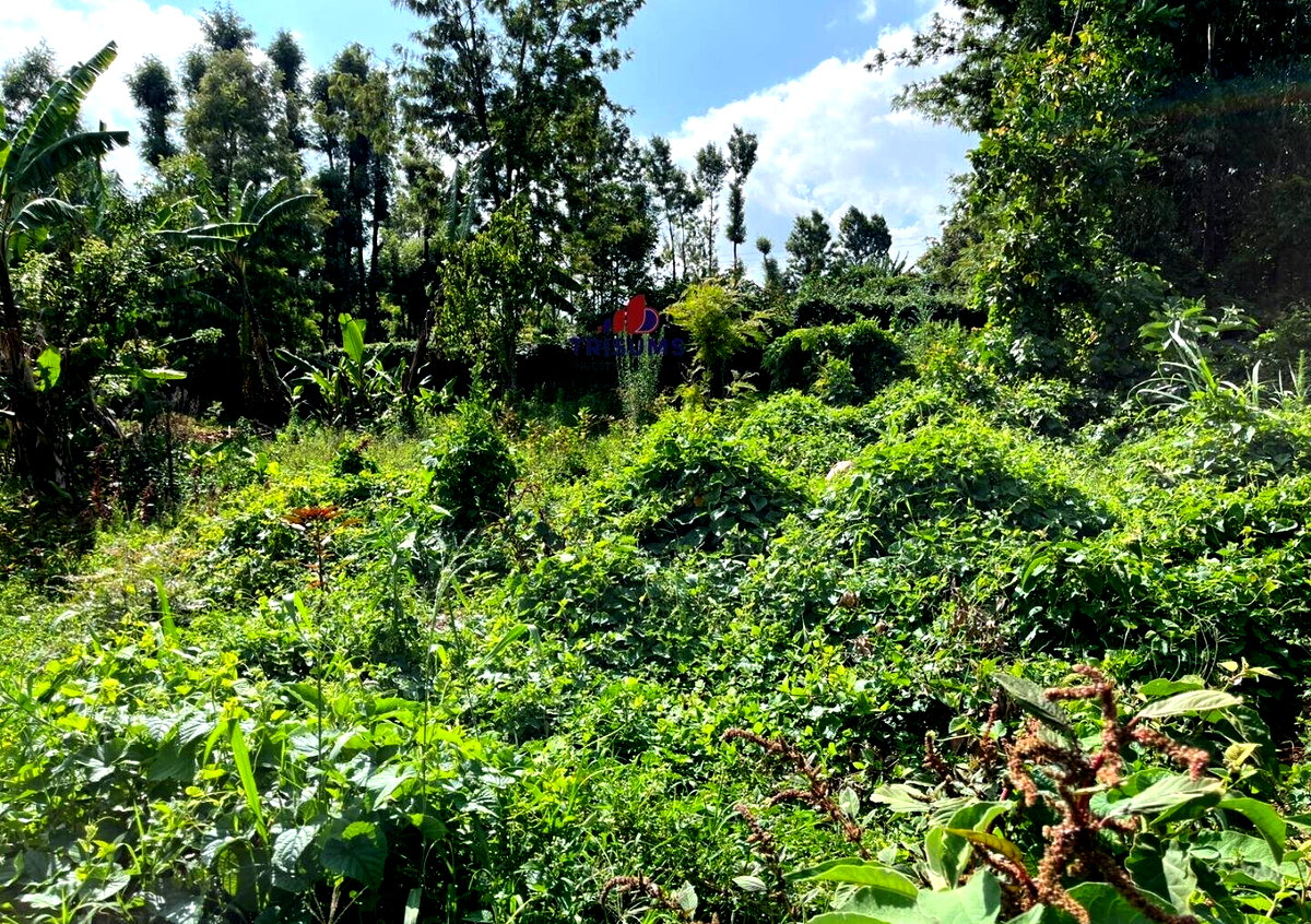 Quarter Acre Garden Plot