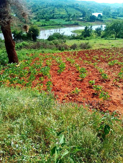 3.5 Acre Just 1km From NRB-Embu Dual Carriageway - Image 16