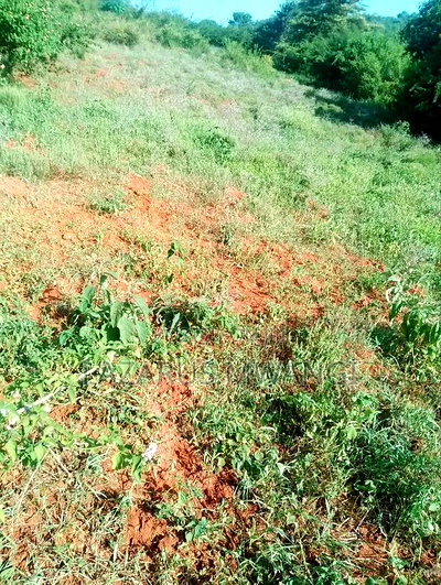 3.5 Acre Just 1km From NRB-Embu Dual Carriageway - Image 12