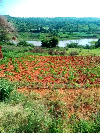 3.5 Acre Just 1km From NRB-Embu Dual Carriageway - Image 15