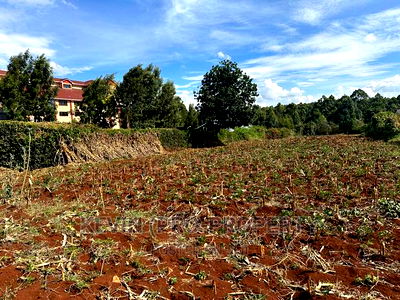 Prime ONE Acre Land for Sale in Kikuyu ,Thogoto. - Image 5
