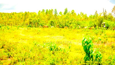 Residential Plots in Kisumu - Image 4