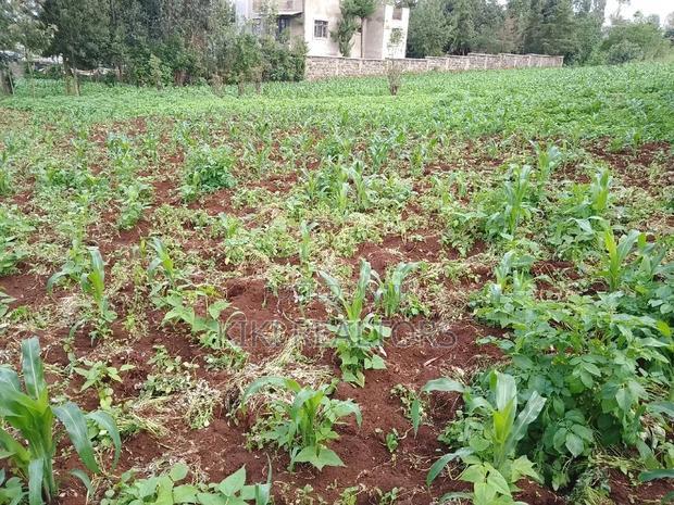 Kikuyu Thogoto Southern Bypass Plot for Sale100*100