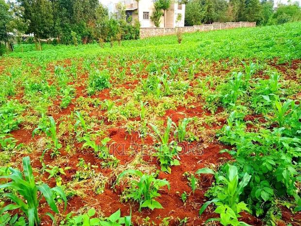 Kikuyu Thogoto Southern Bypass Plot for Sale100*100
