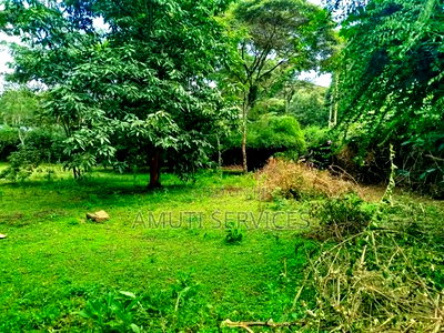 Karen: One Acre for Sale - Image 4