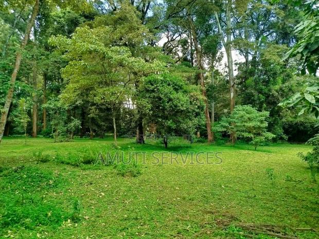 Karen: One Acre for Sale