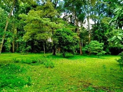 Karen: One Acre for Sale - Image 1