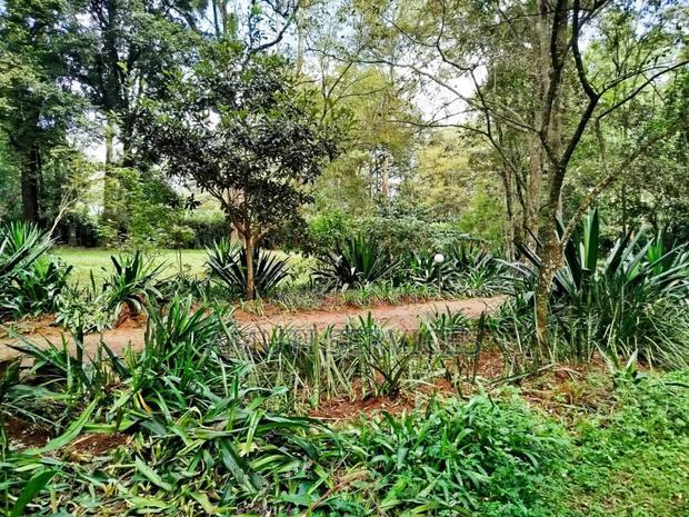 Karen: One Acre for Sale