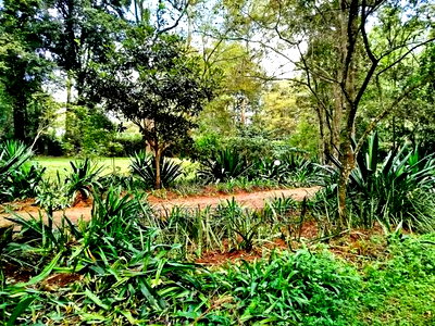 Karen: One Acre for Sale - Image 3