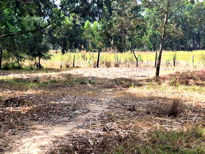 Secure Top Tier Oljoroork Plots - Image 2