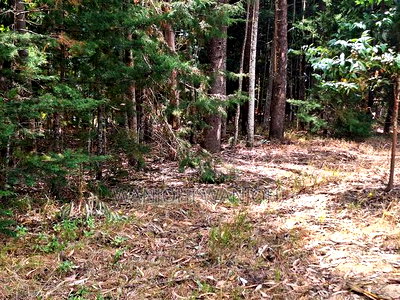Secure Top Tier Oljoroork Plots - Image 5