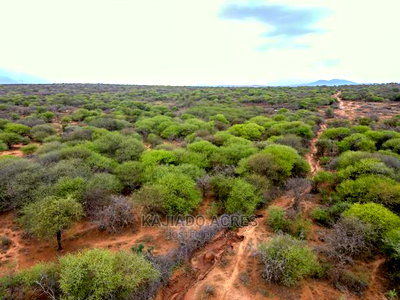 75 Acres and 70acres Maili Tisa at 350k Per Acre - Image 3