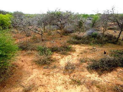75 Acres and 70acres Maili Tisa at 350k Per Acre - Image 5