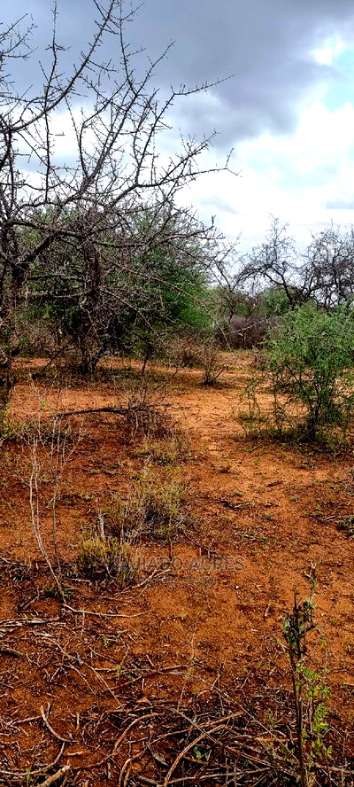 75 Acres and 70acres Maili Tisa at 350k Per Acre - Image 9