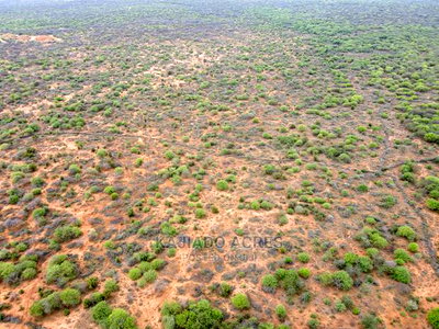 75 Acres and 70acres Maili Tisa at 350k Per Acre - Image 2