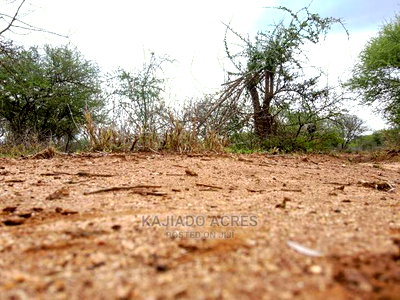 75 Acres and 70acres Maili Tisa at 350k Per Acre - Image 7