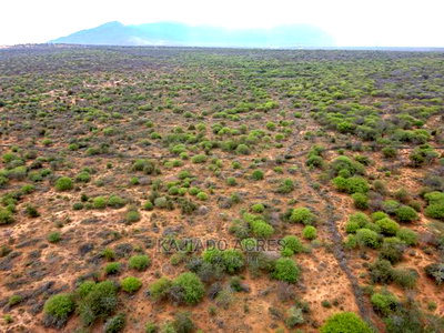 75 Acres and 70acres Maili Tisa at 350k Per Acre - Image 6