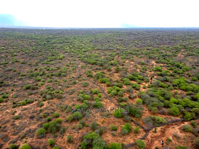 75 Acres and 70acres Maili Tisa at 350k Per Acre - Image 4