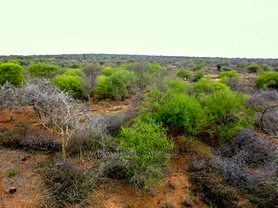 75 Acres and 70acres Maili Tisa at 350k Per Acre - Image 1