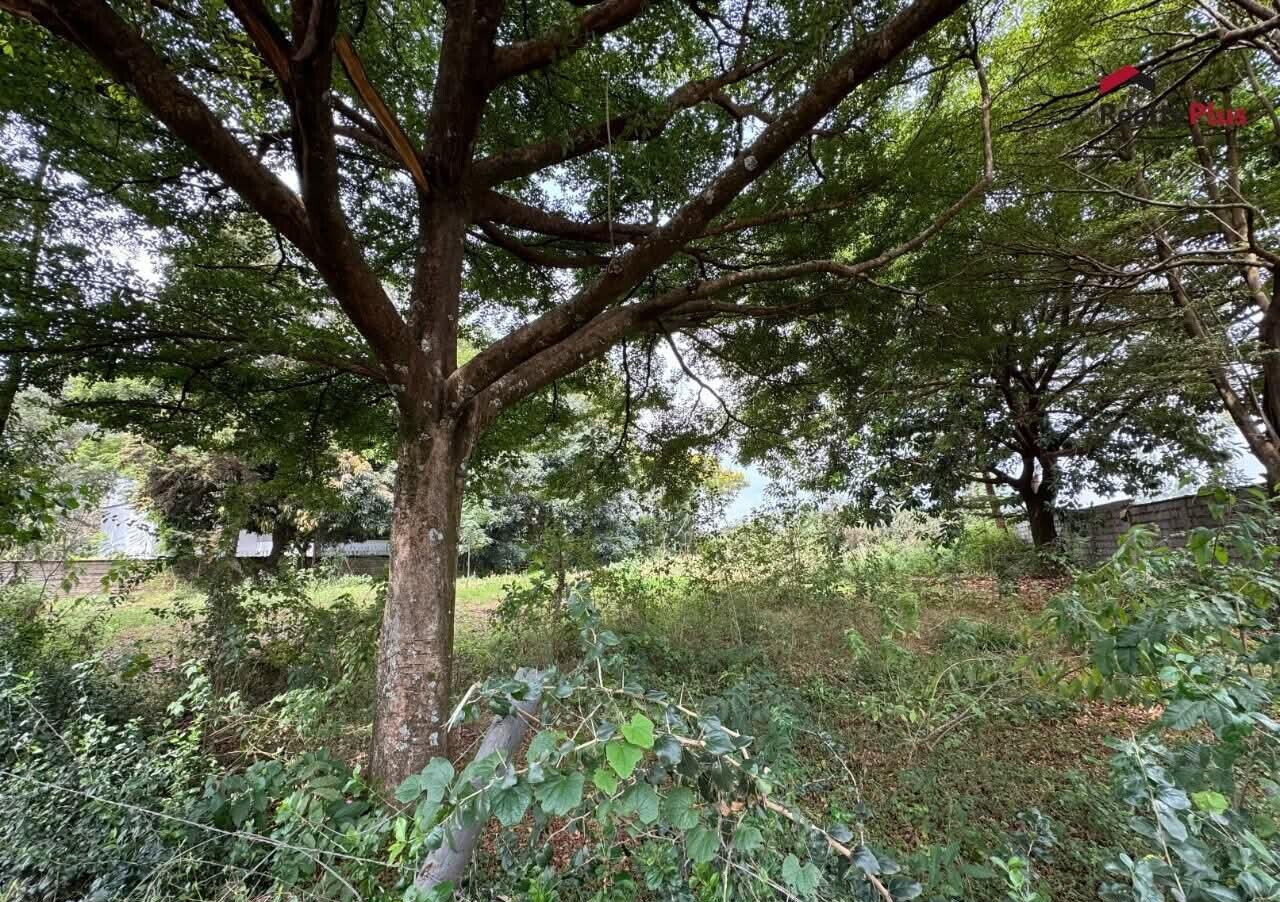Half Acre Garden Plot with Parking at KSh 47M