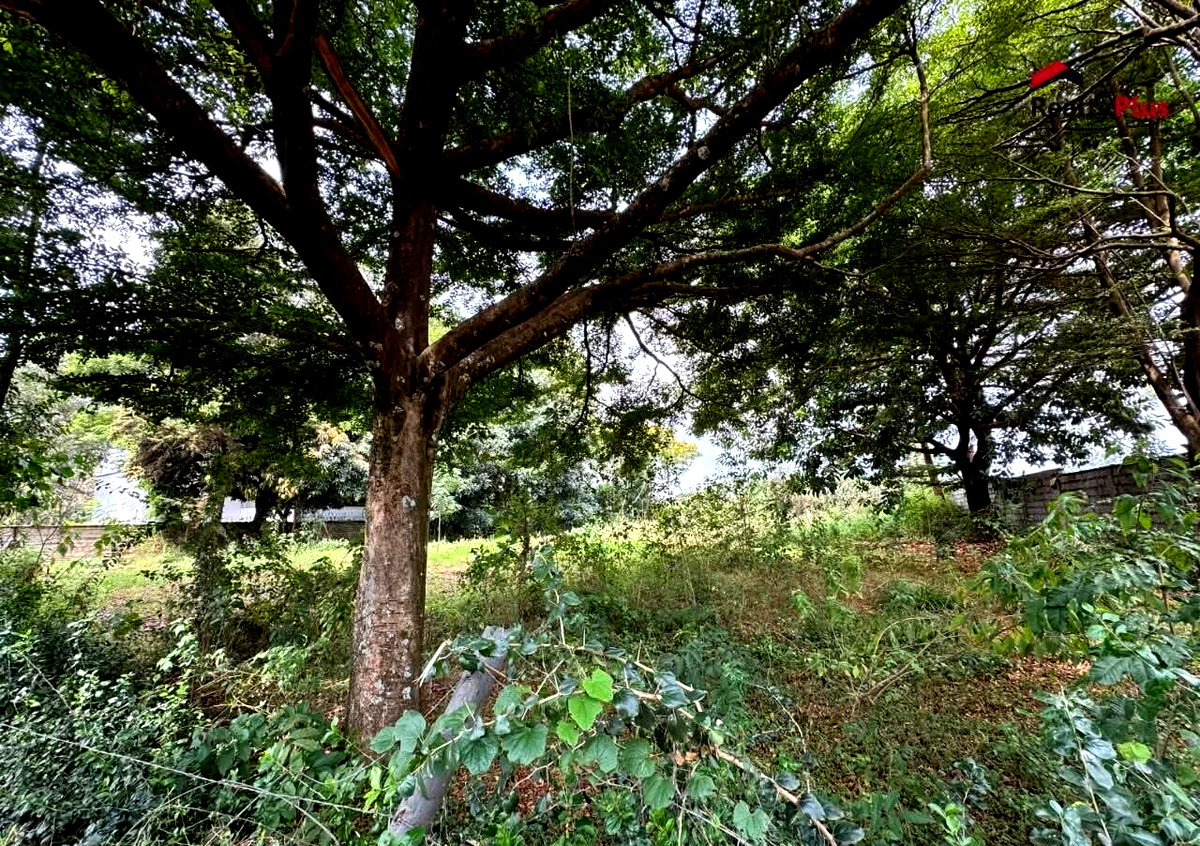 Half Acre Garden Plot with Parking at KSh 47M