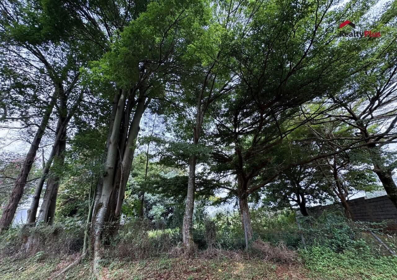Half Acre Garden Plot with Parking at KSh 47M