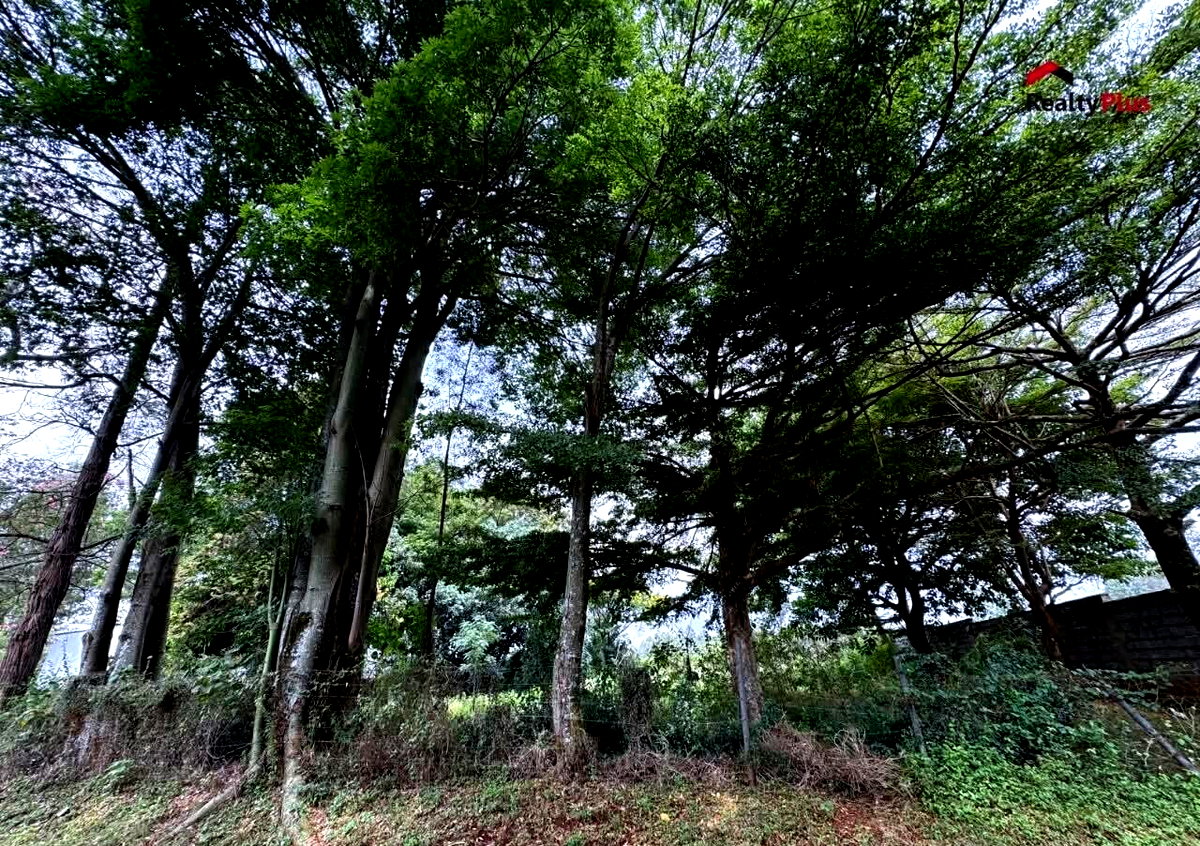 Half Acre Garden Plot with Parking at KSh 47M