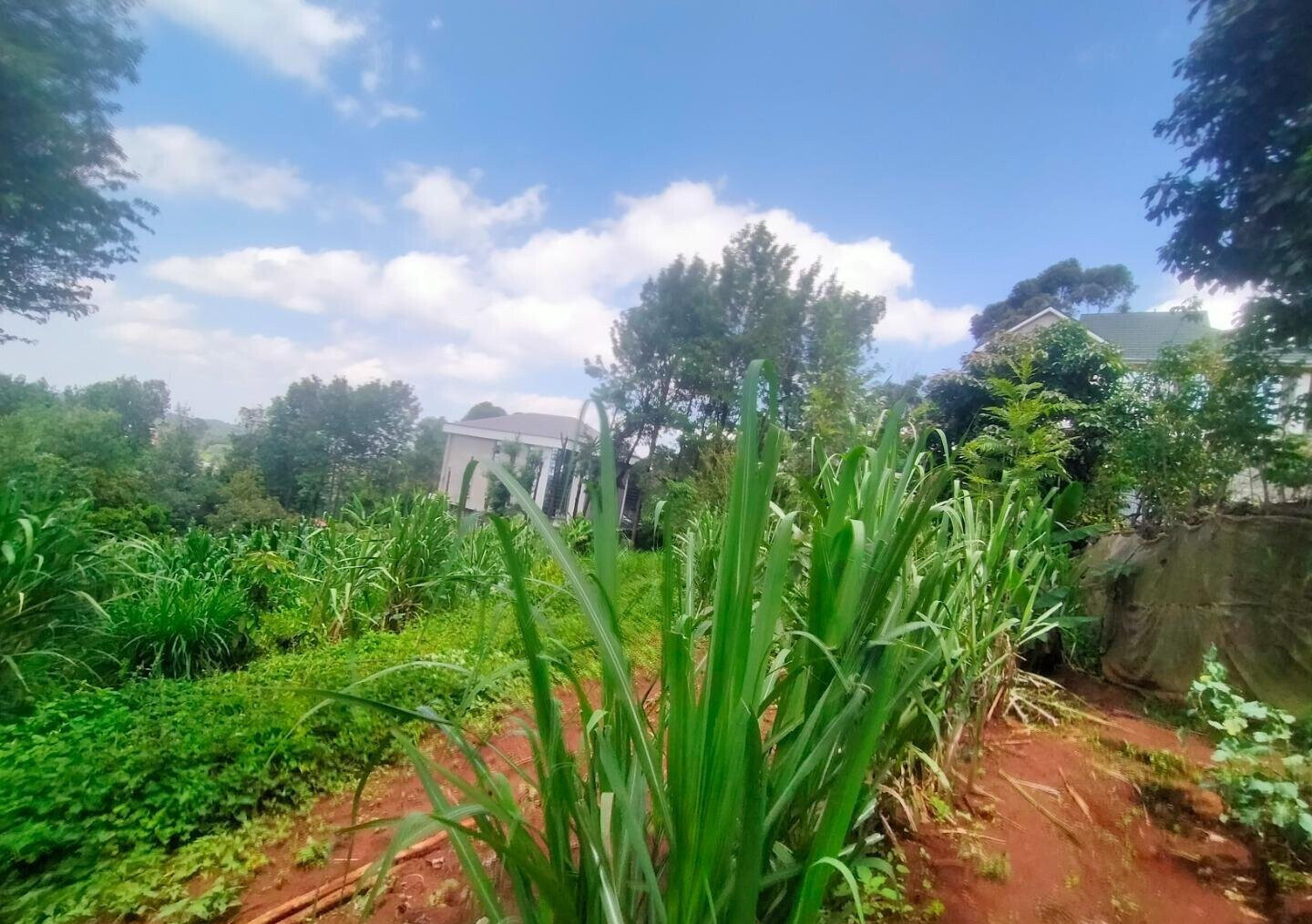 Quarter Acre in Karen at KSh 15M