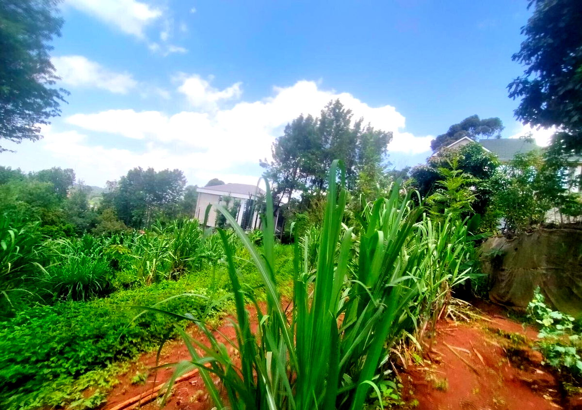 Quarter Acre in Karen at KSh 15M