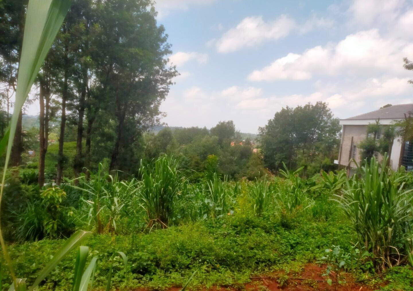 Quarter Acre in Karen at KSh 15M