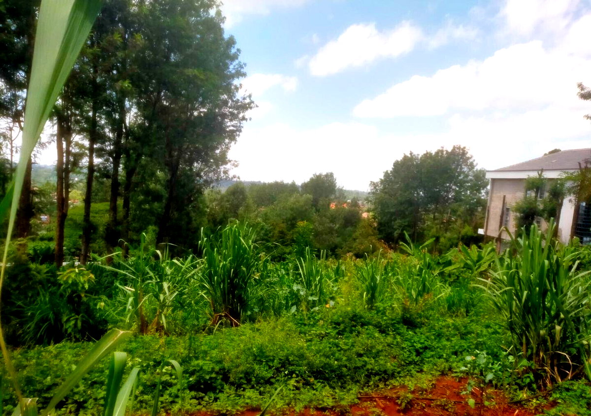 Quarter Acre in Karen at KSh 15M